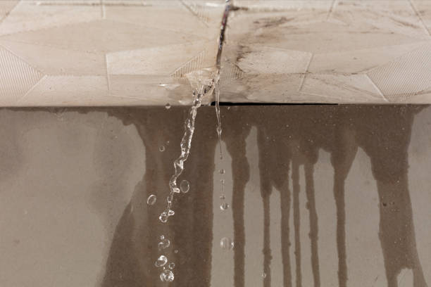 Professional Water Damage Restoration technician working in Riverside, IA